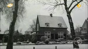 Bewindvoerders