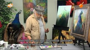 Mooi als een pauw