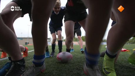Willem Wever | Rugby