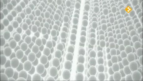 Het Klokhuis | Nano - Basis