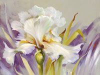12. Lichtgevende Iris
