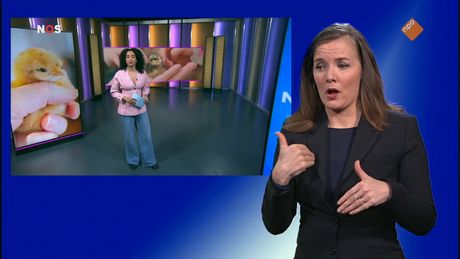 NOS Jeugdjournaal met gebarentaal