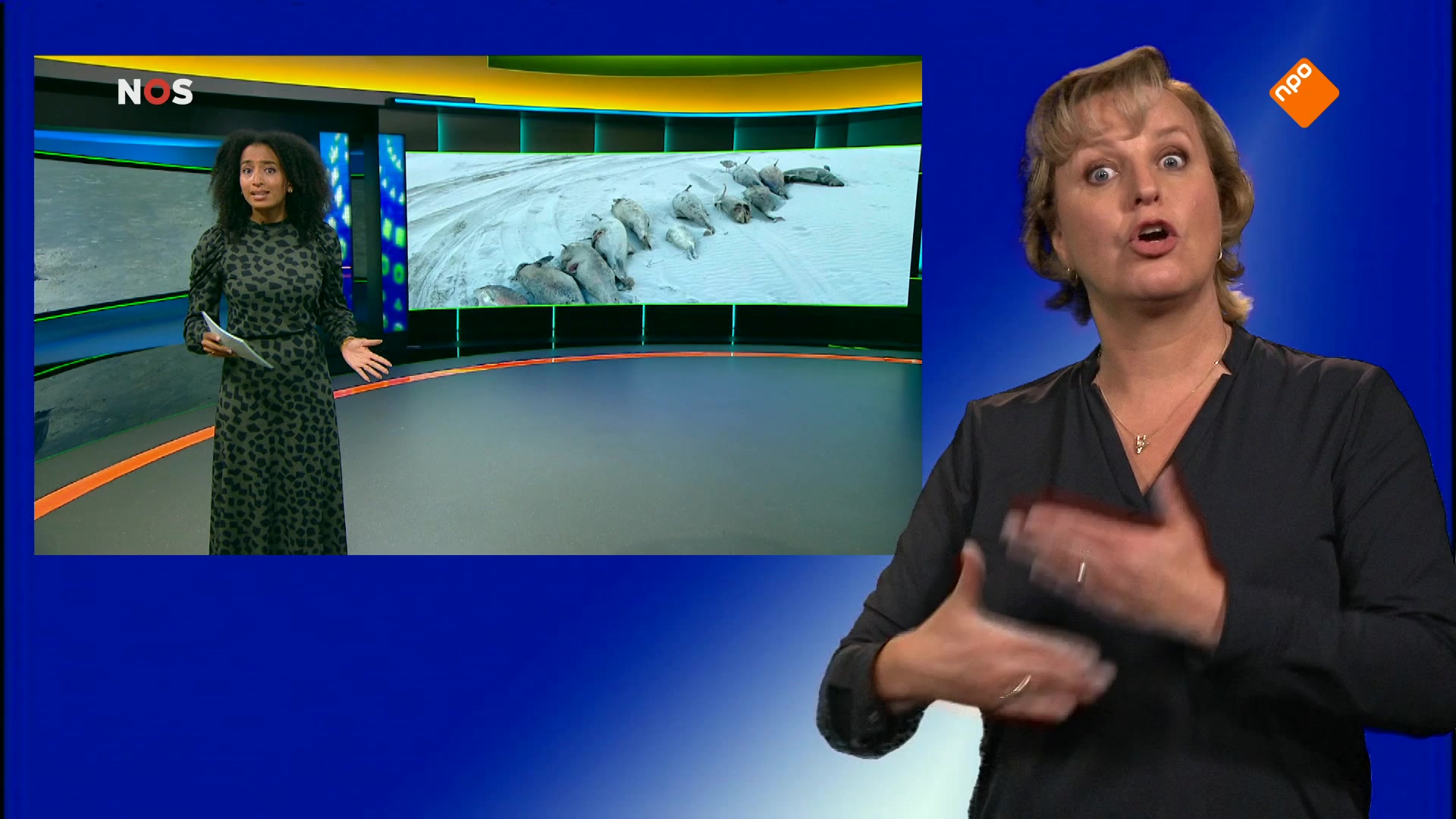 NOS Jeugdjournaal met gebarentolk