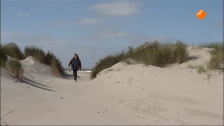 Het verborgen eiland