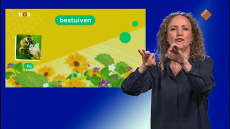 NOS Jeugdjournaal met gebarentaal