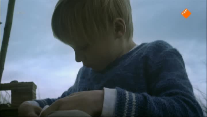 Jesses wereld