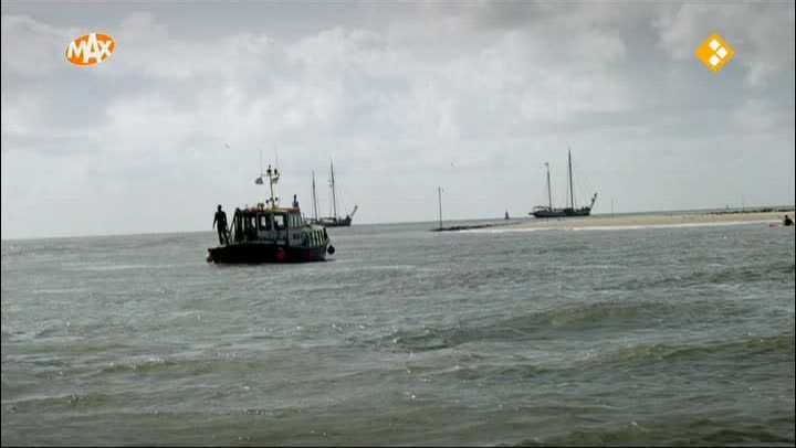 9. Naar de haaien