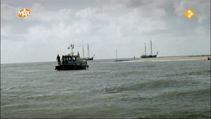 9. Naar de haaien