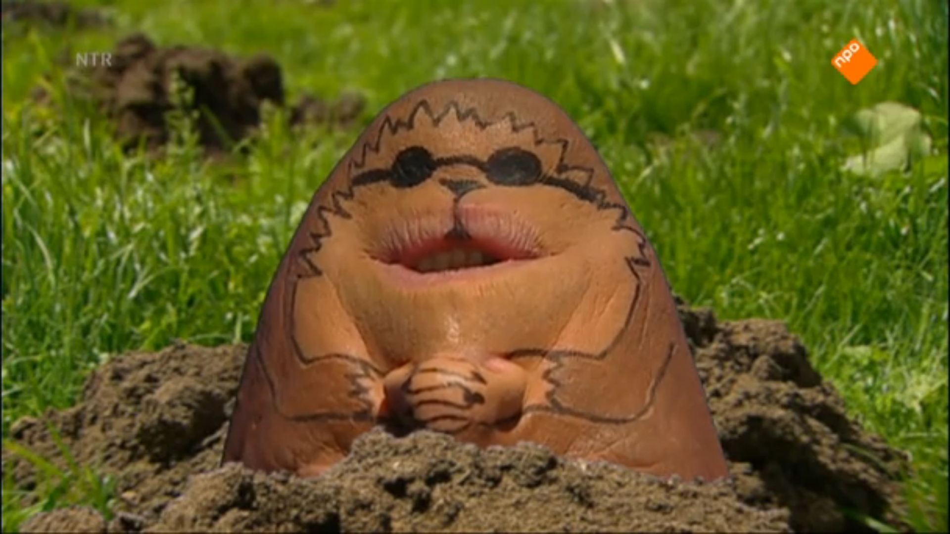 Het Klokhuis | Mol