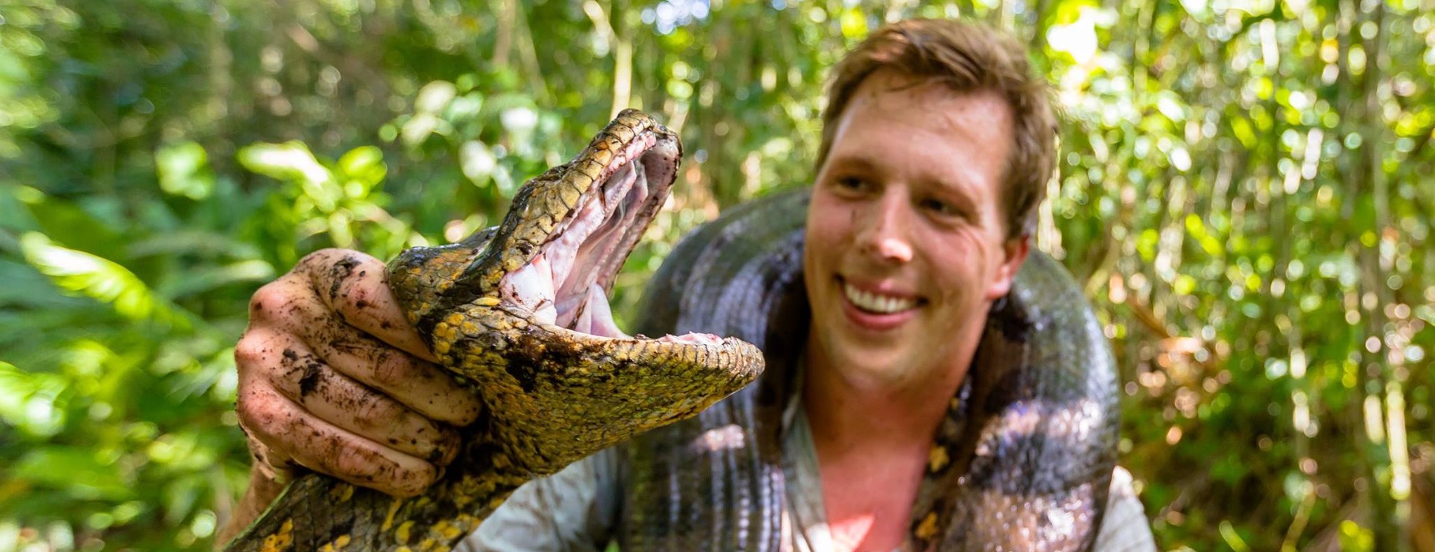Freeks Wilde Wereld | Anaconda Mimosaplant