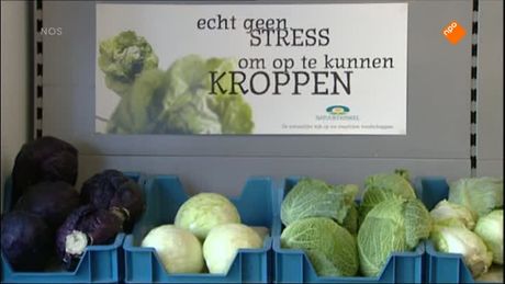 Het NOS Jeugdjournaal | NOS Jeugdjournaal