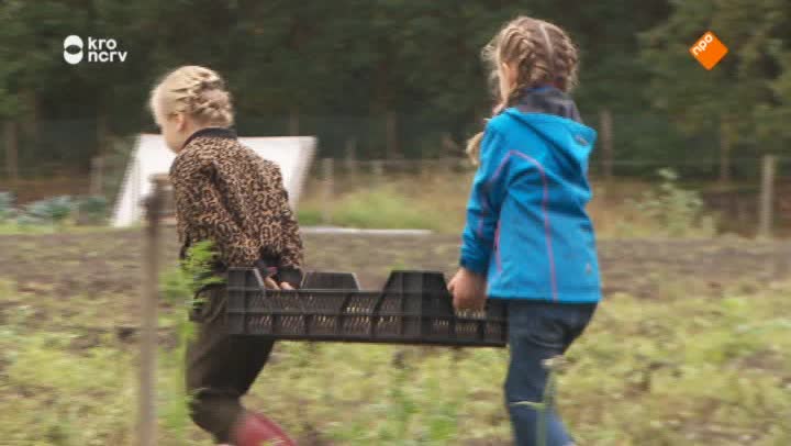 Kindertijd
