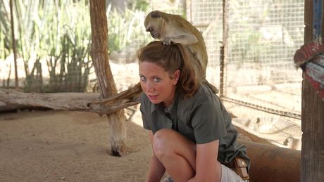 Dierendokter in het wild
