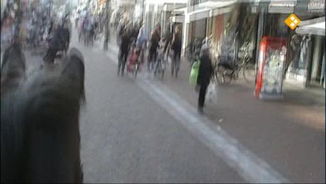 Het Klokhuis | Politiepaard (2)