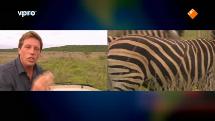 Freeks Wilde Wereld | Dieren met een printje