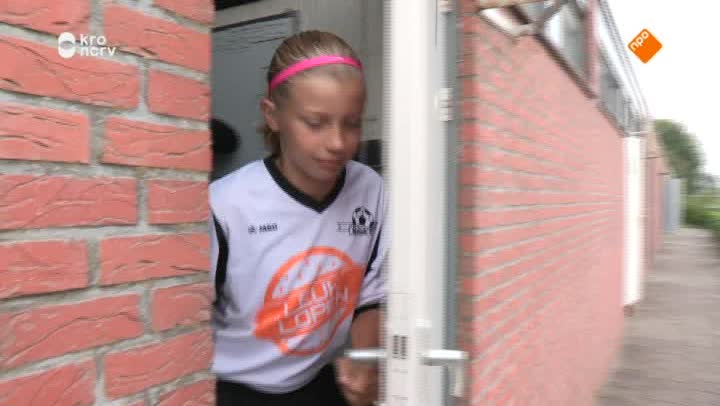Heibel langs de Lijn | Heibel langs de lijn