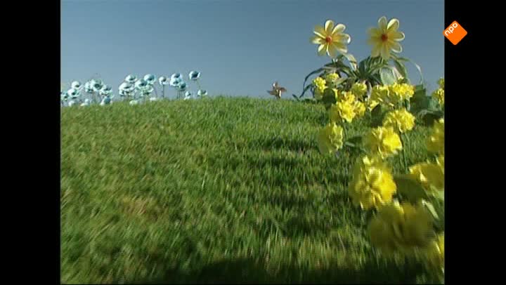 Teletubbies