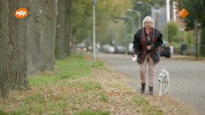 Erfenissen bij samengestelde gezinnen