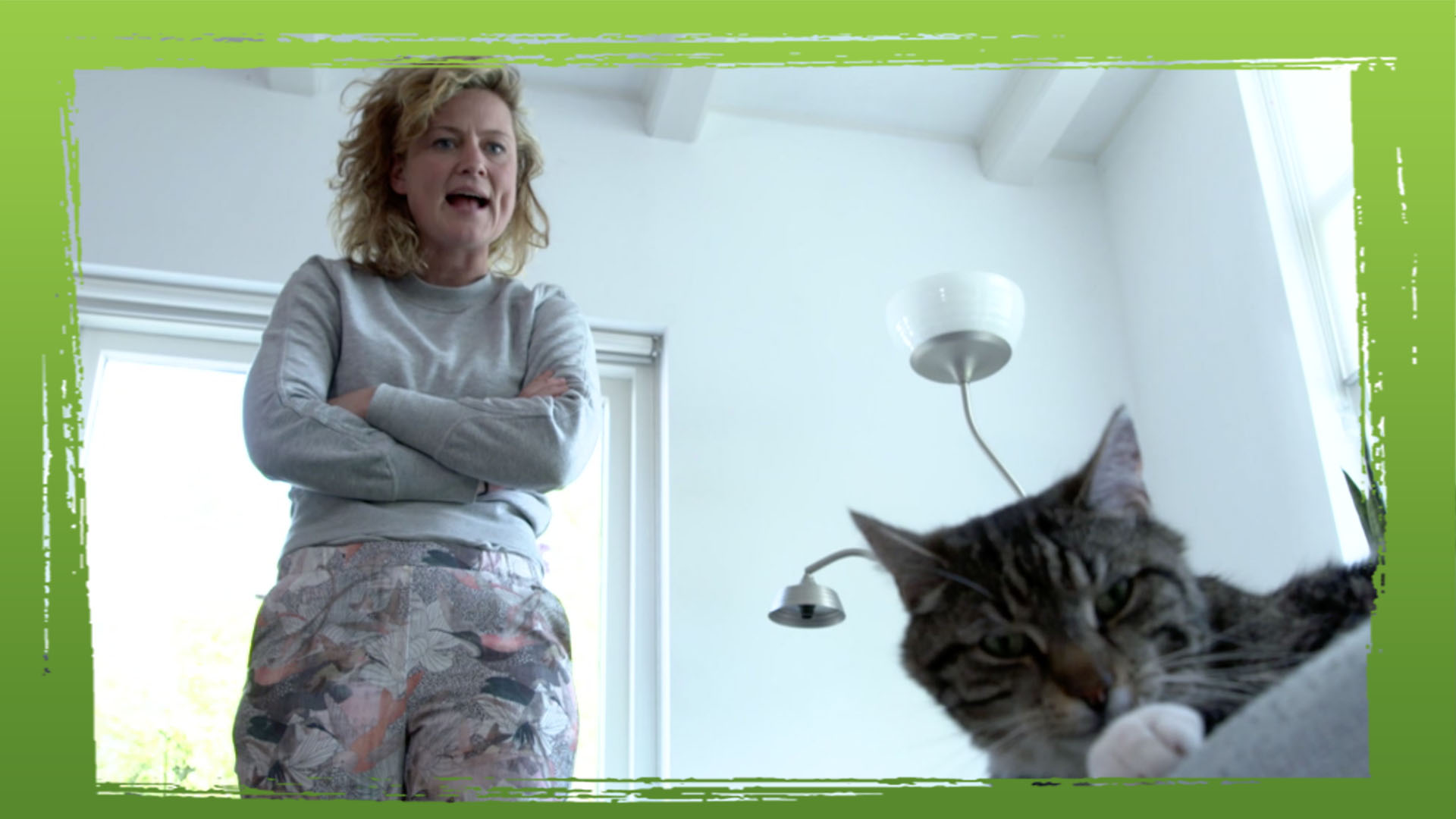 De Buitendienst  | De kat: huisdier of roofdier?