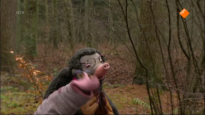 Koekeloere