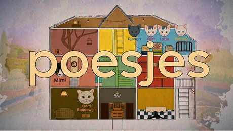 Poesjes | Kattenlaan 9