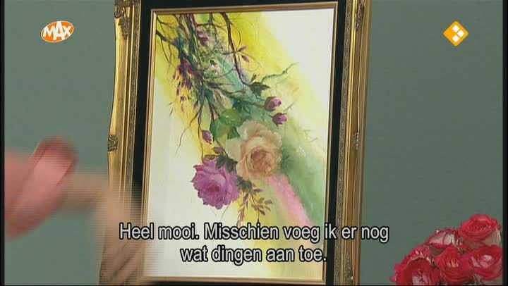 Regenboog rozen
