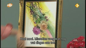 Regenboog rozen