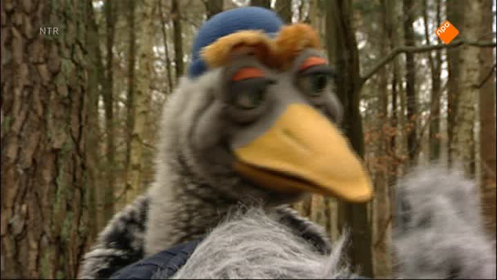 Koekeloere
