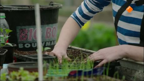 Het NOS Jeugdjournaal | NOS Jeugdjournaal