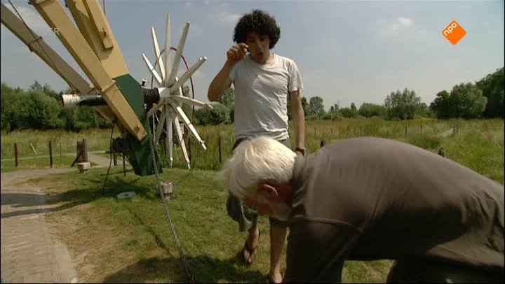 Het Klokhuis | Ooievaar
