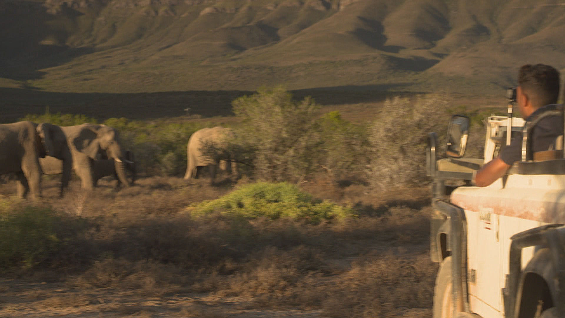Het Klokhuis | Zuid-Afrika: Wilde dieren