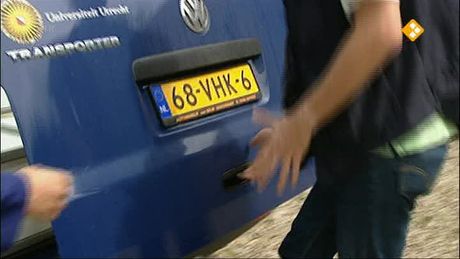 Het Klokhuis | Veearts