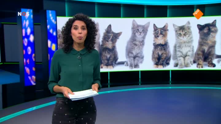 Het NOS Jeugdjournaal | NOS Jeugdjournaal