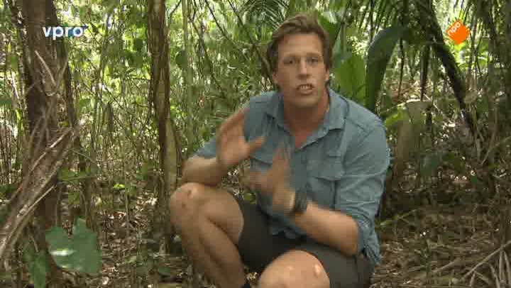 Freeks Wilde Wereld | Belize - Bommetje!