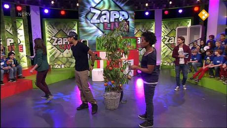 Zapplive | ZappLive