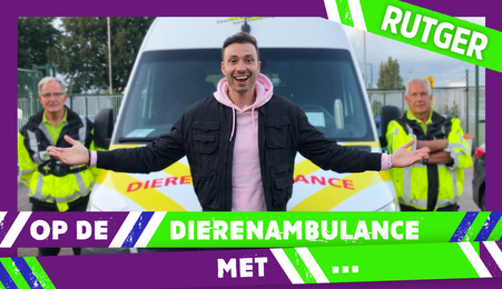 Op de dierenambulance met | Rutger Vink