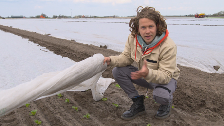 Het Klokhuis | Slateelt op water