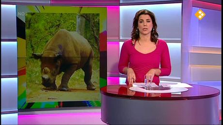 Het NOS Jeugdjournaal | NOS Jeugdjournaal