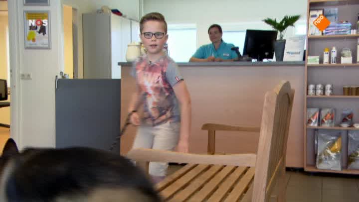 Het NOS Jeugdjournaal | NOS Jeugdjournaal