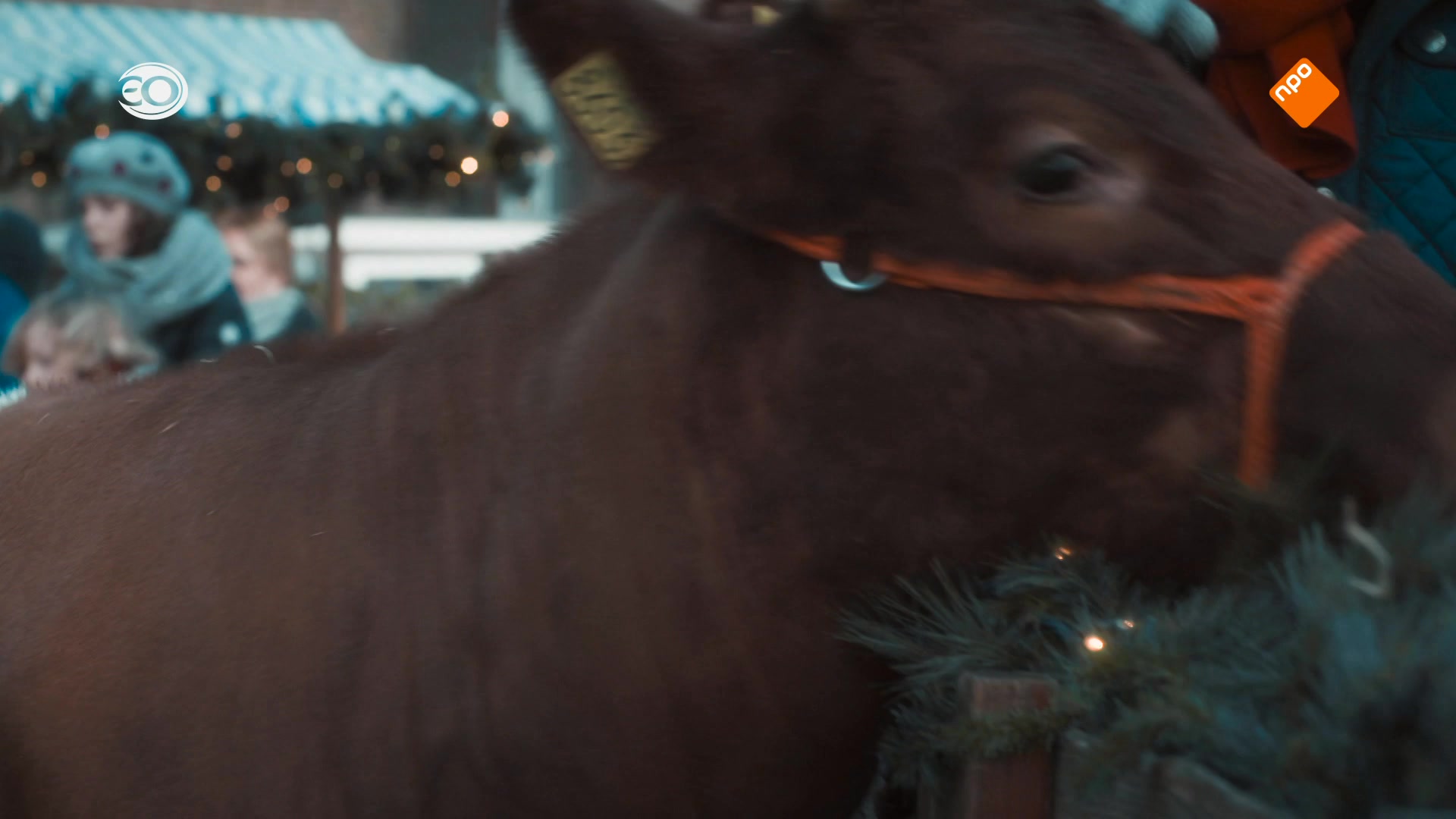 Sam's Kerst