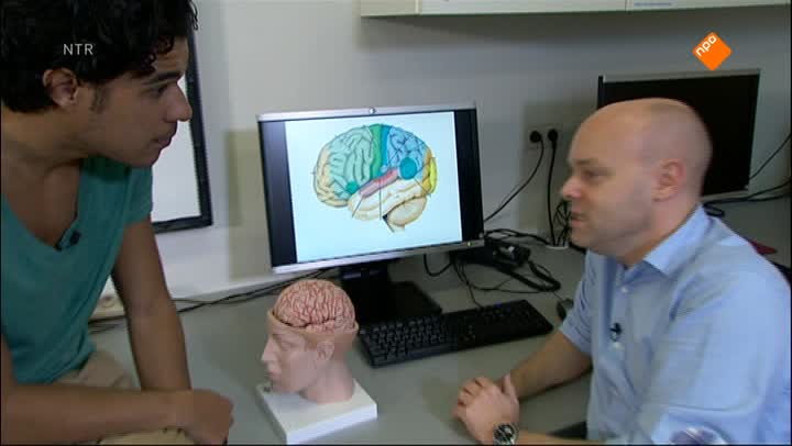 Het Klokhuis | Epilepsie