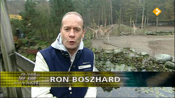 Te land, ter zee en in de lucht