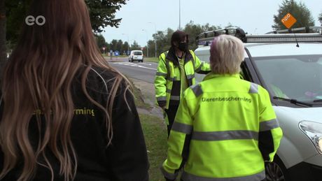 Op de dierenambulance met | Jessie Maya