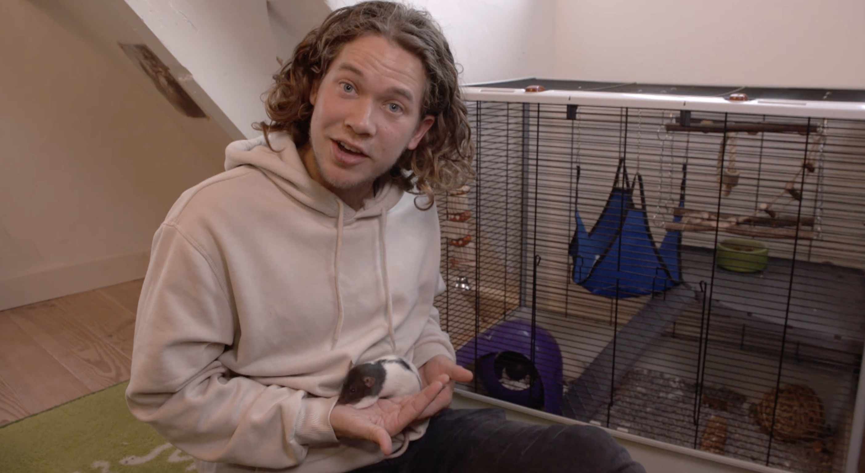Het Klokhuis | Diereninspecteur