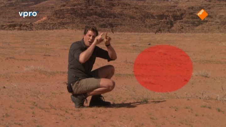 Freeks Wilde Wereld | Jordanië - Woestijn is fijn