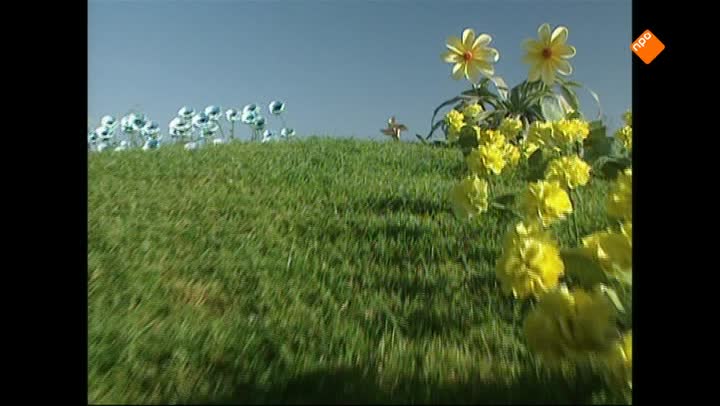 Teletubbies