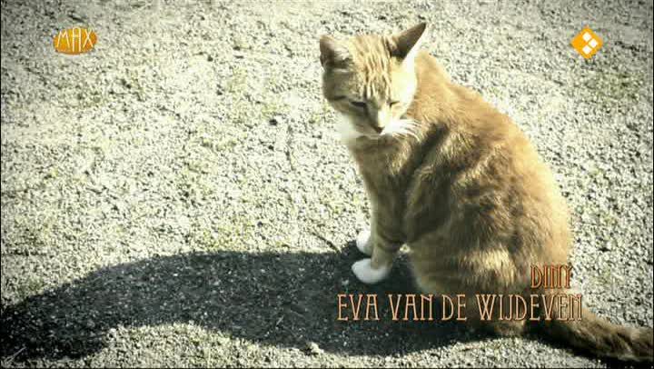 Het geheim
