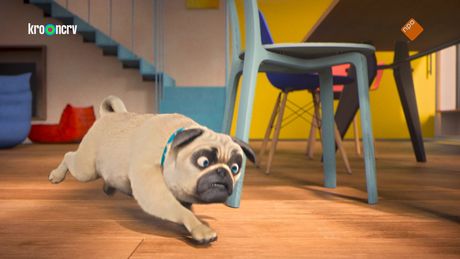 Honden met glimmertjes
