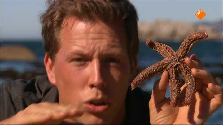 Freek in het wild | Blauwe haaien