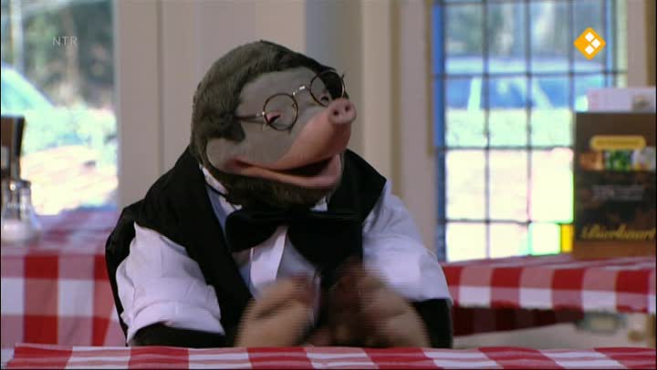 Koekeloere